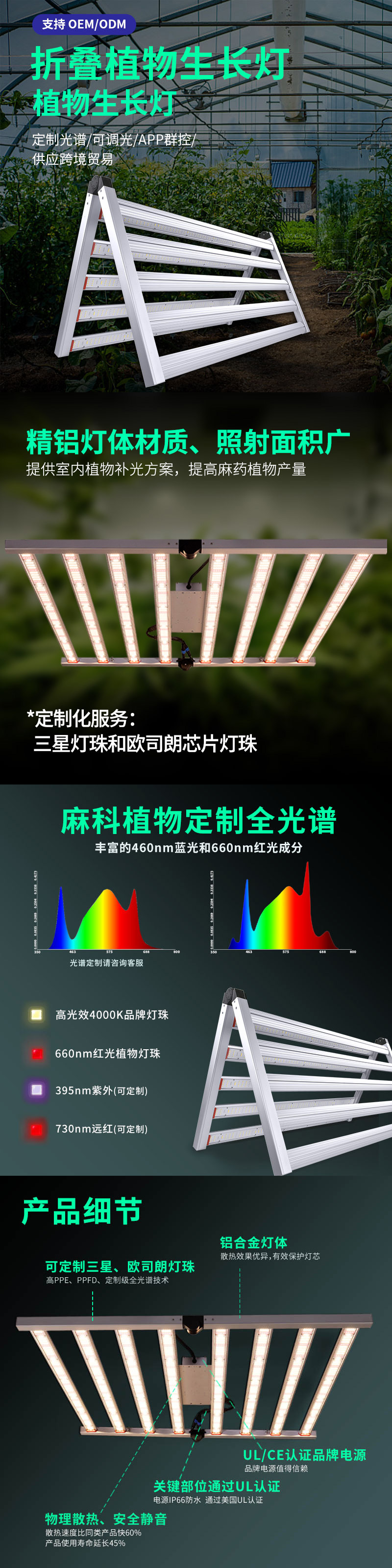 二折疊.jpg